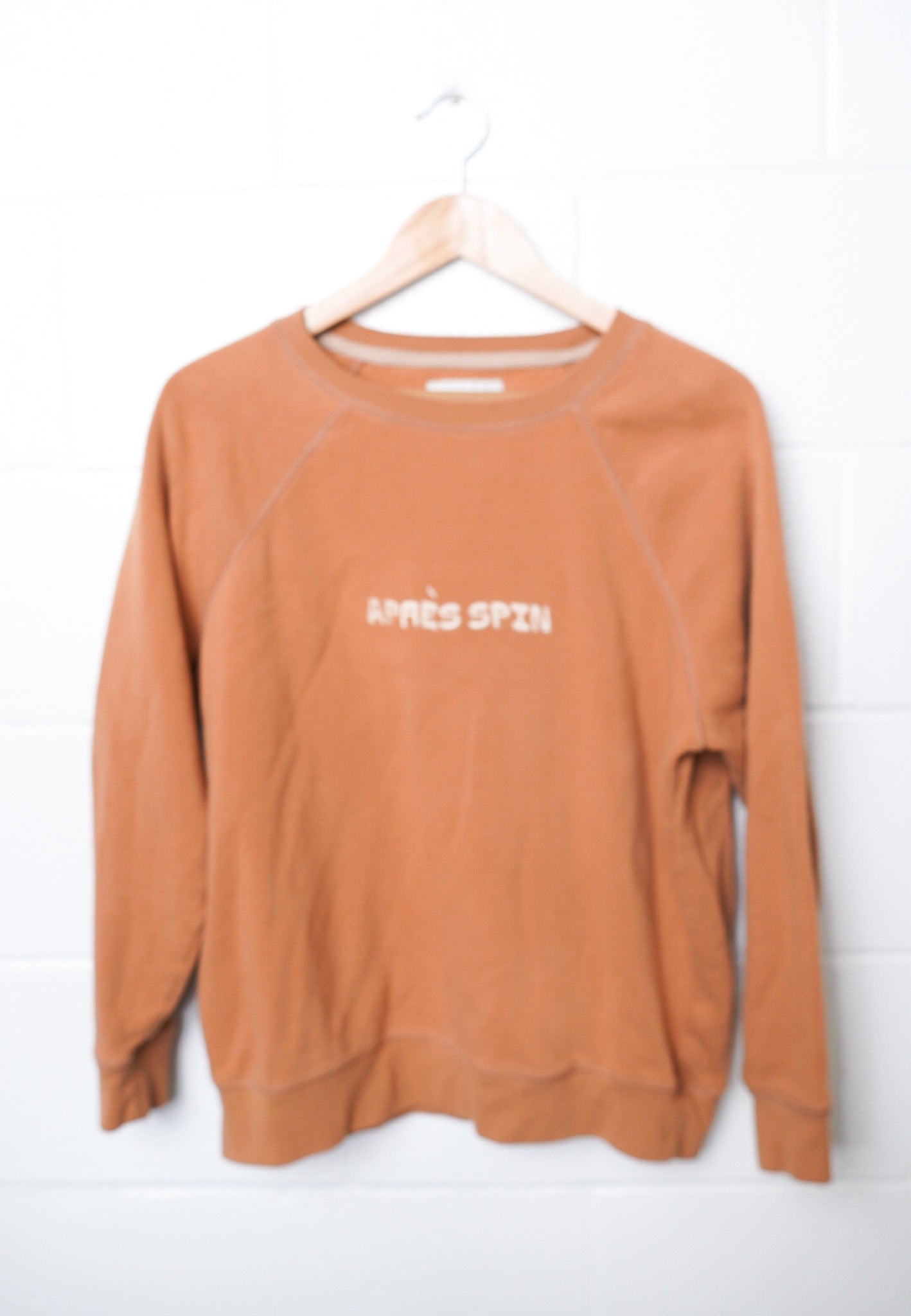 MEDIUM AMERICAN EAGLE Crewneck with "Apres Spin" design